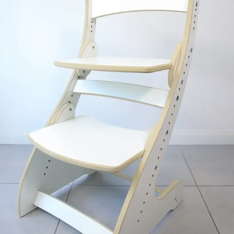 Silla Evolutiva